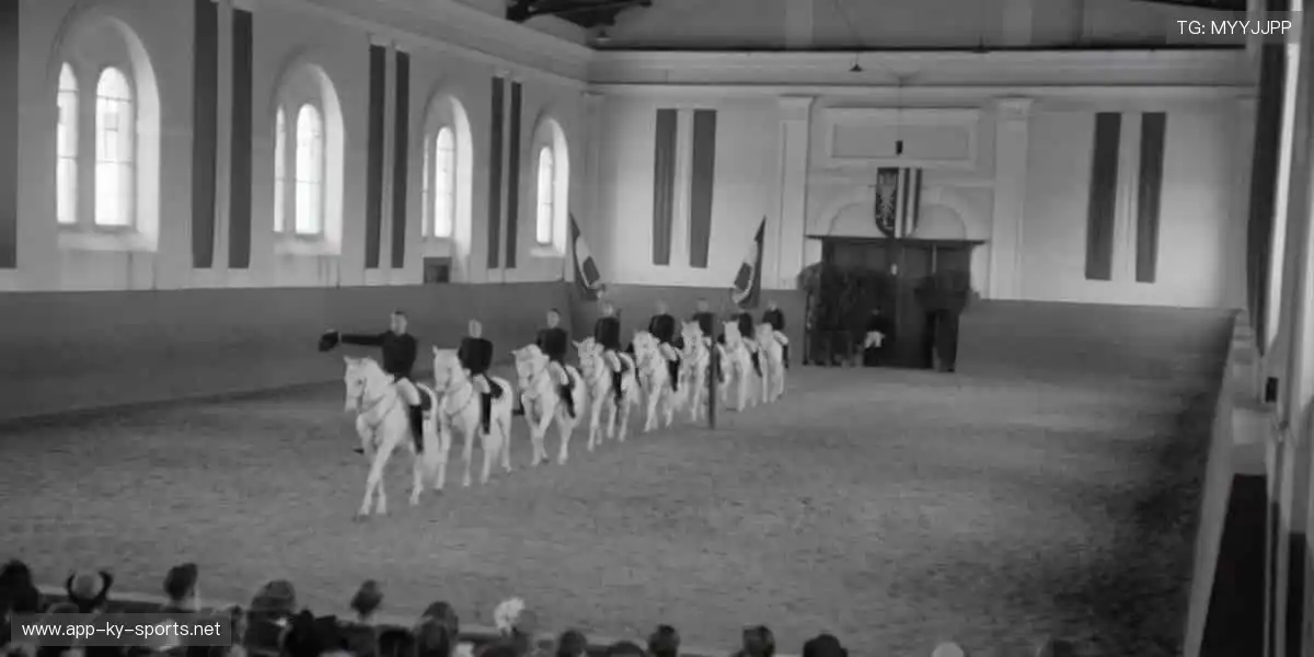 🎯 专业装备，让你的每一次挥拍都精准如冠军！